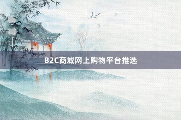 B2C商城网上购物平台推选