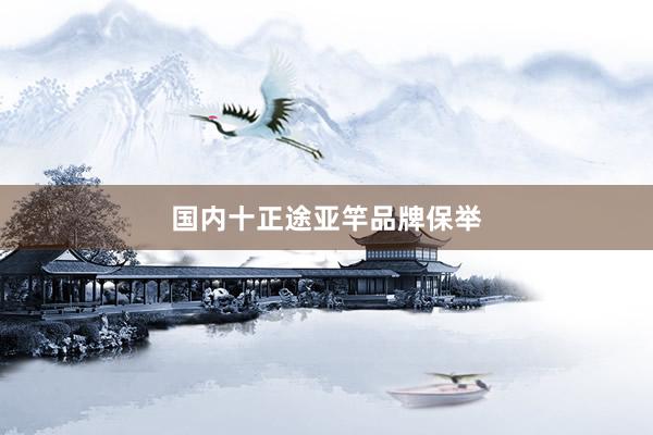 国内十正途亚竿品牌保举