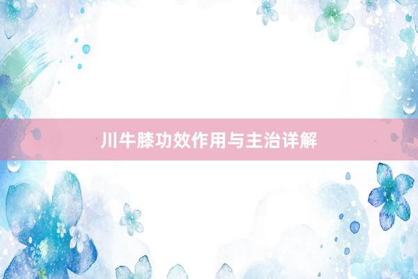 川牛膝功效作用与主治详解